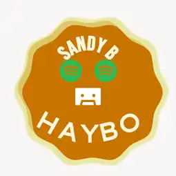 Sandy B new Record Haybo - Kwaito Legend sticker