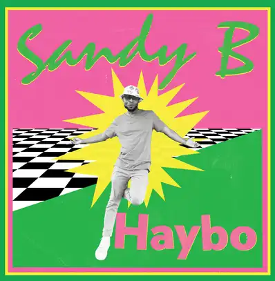 Sandy B Haybo new record vinyl 2024 Kwaito Legend Bink Music